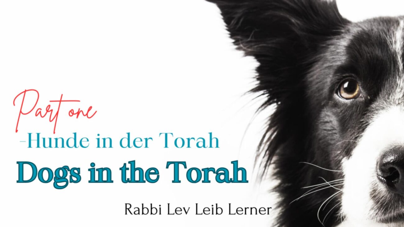 Hunde in der Torah 1