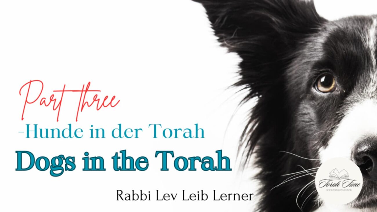 Hunde in der Torah