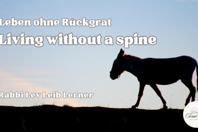 Rabbi Lev Leib Lerner: Leben ohne Rückgrat / Living without a spine
