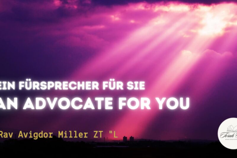 Rav Avigdor Miller: Ein Fürsprecher für Sie / An Advocate for You