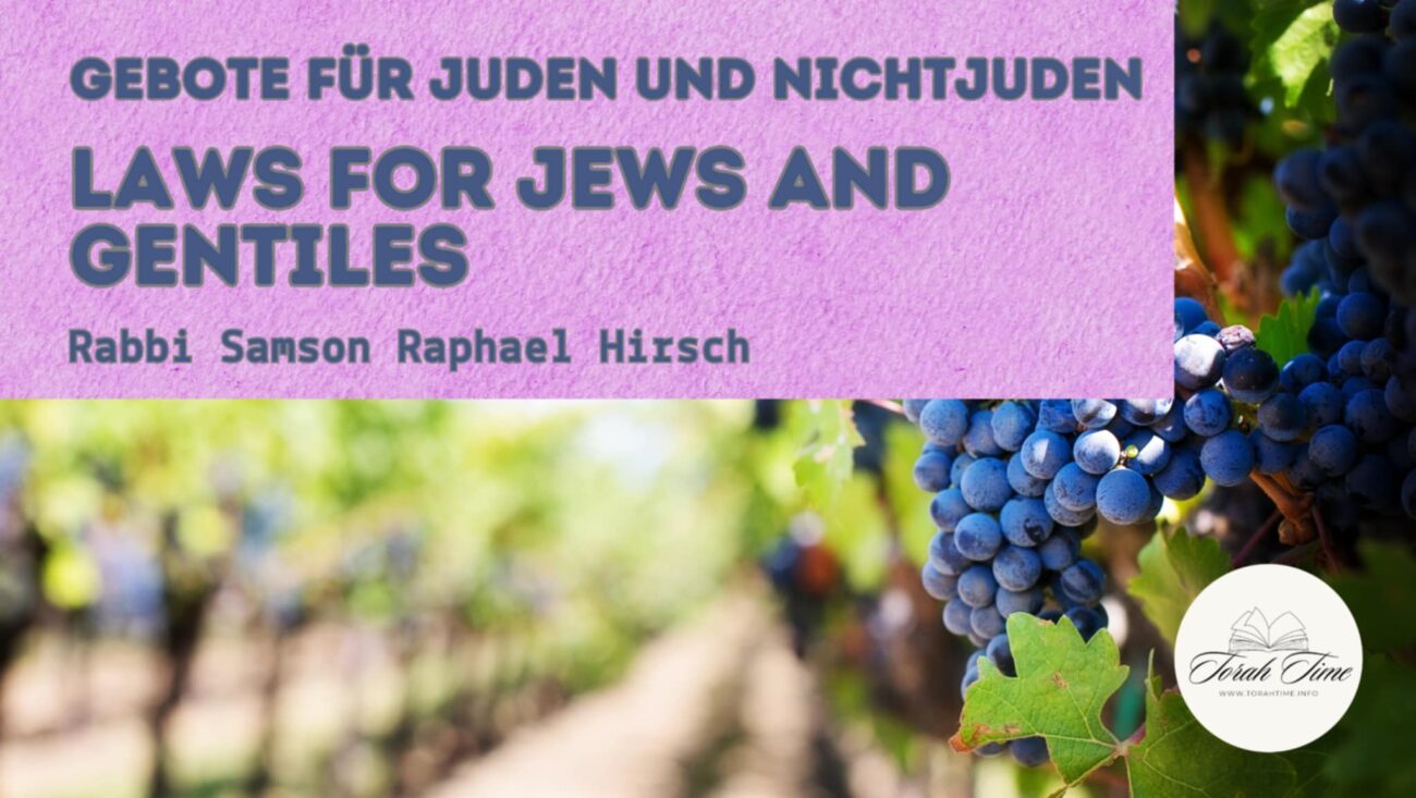 Gebote für juden und nichtjuden