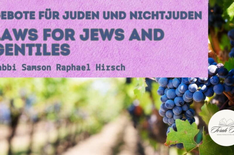 Gebote für Juden und Nichtjuden / Laws for Jews and Gentiles – Bereshit 1,11
