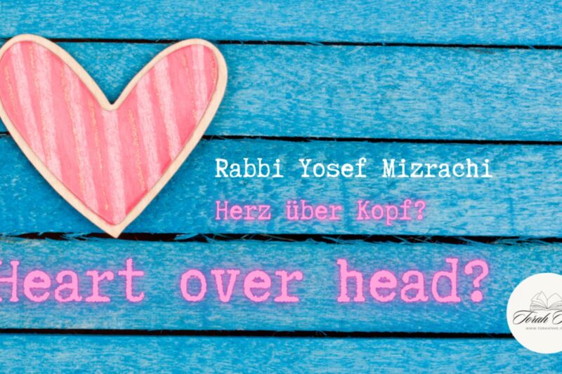 Gehirn oder Herz / Brain or heart