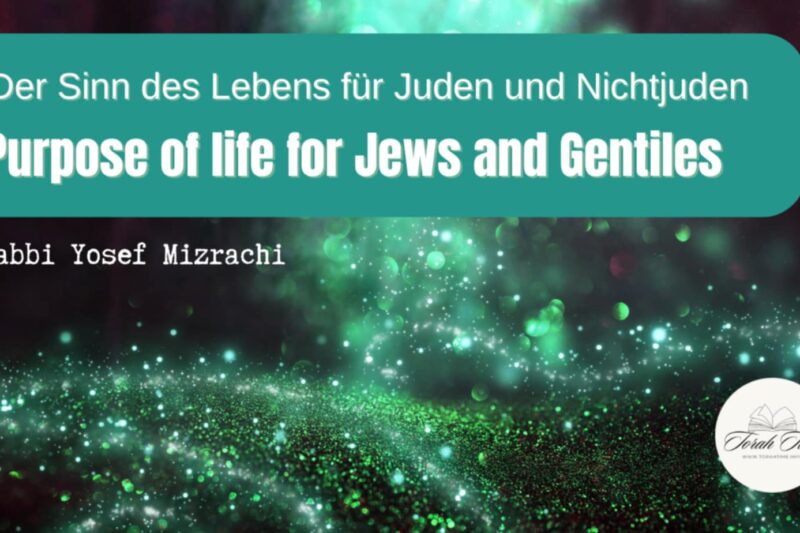 Der Sinn des Lebens / Purpose of life