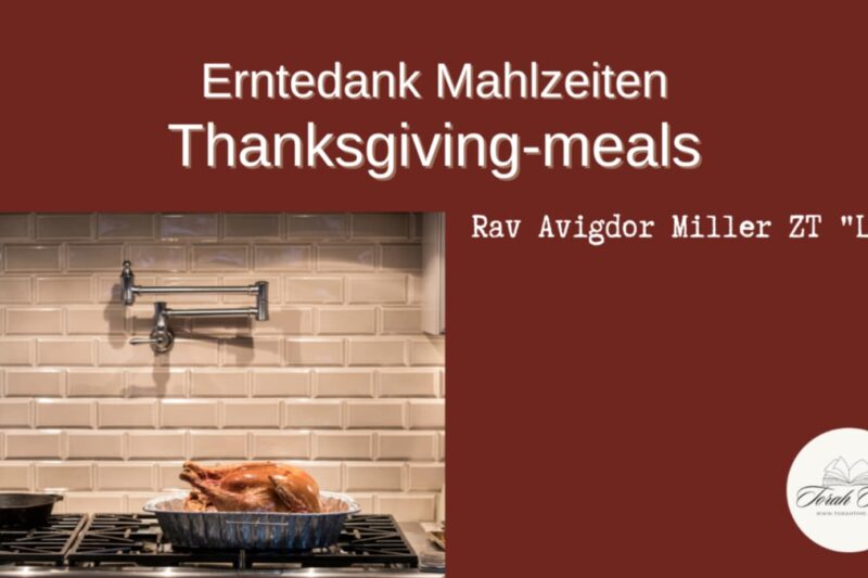 Rav Avigdor Miller: Erntedank / Thanksgiving