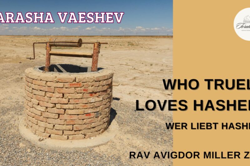 Rav Avigdor Miller: Parasha Vayeshev – Wer liebt HaShem wahrhaftig? / Who Truly Loves Hashem?