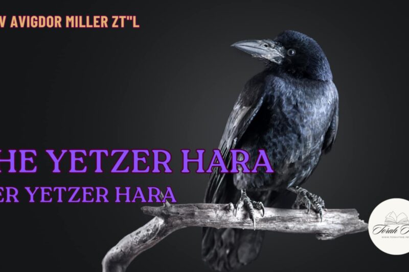 Rav Avigdor Miller: Yetzer Hara geht inkognito / Yetzer Hara Goes Incognito