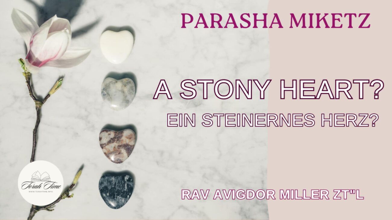 Ein steinernes Her