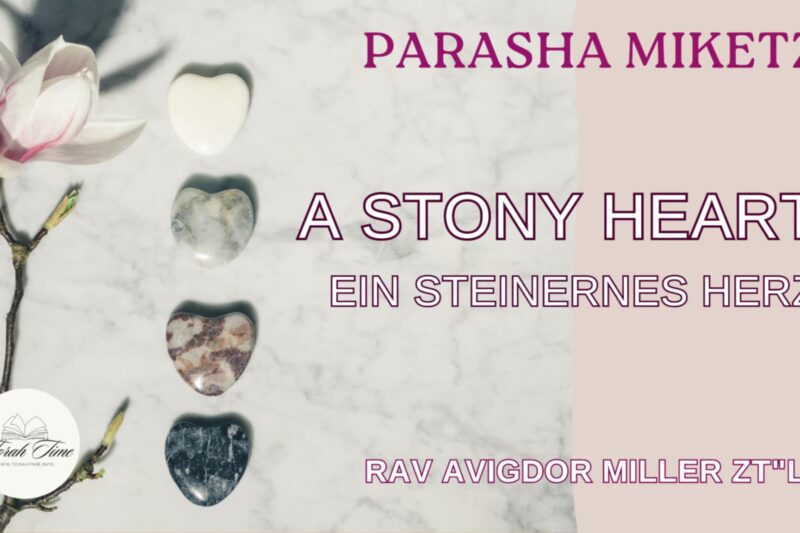 Rav Avigdor Miller: Parasha Miketz – Ein steinernes Herz? – A stony heart?