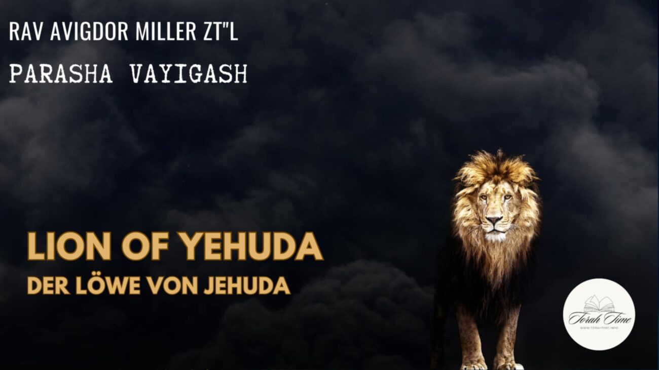 Der Löwe von Jehuda