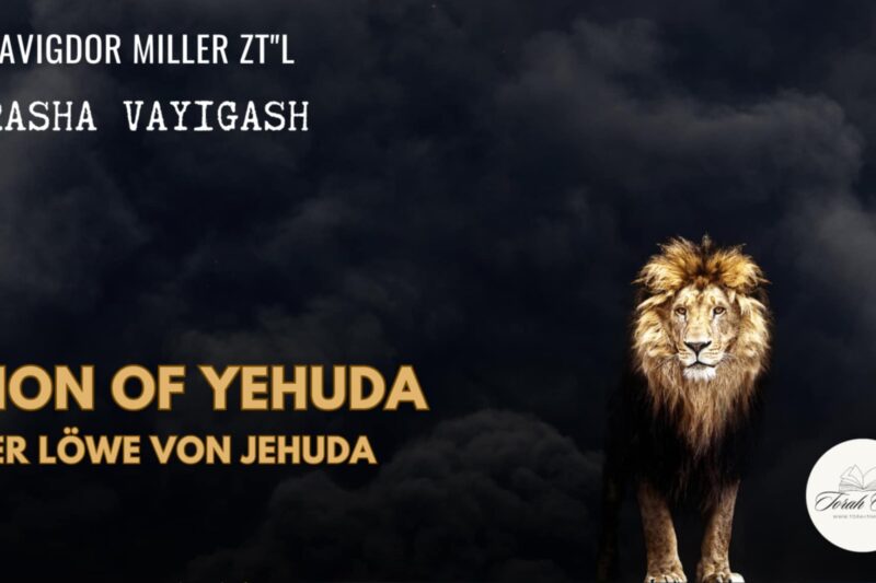 Der Löwe von Jehuda / Lion of Yehuda