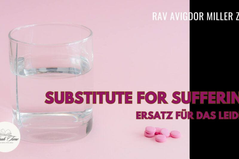 Ersatz für Leiden / Substitutes for Suffering