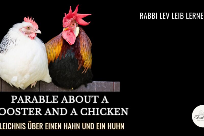 Gleichnis über einen Hahn und ein Huhn / Parable about a rooster and a hen