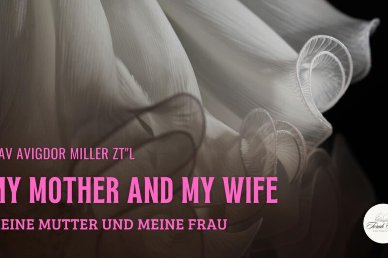Meine Mutter und meine Frau / My Mother and My Wife
