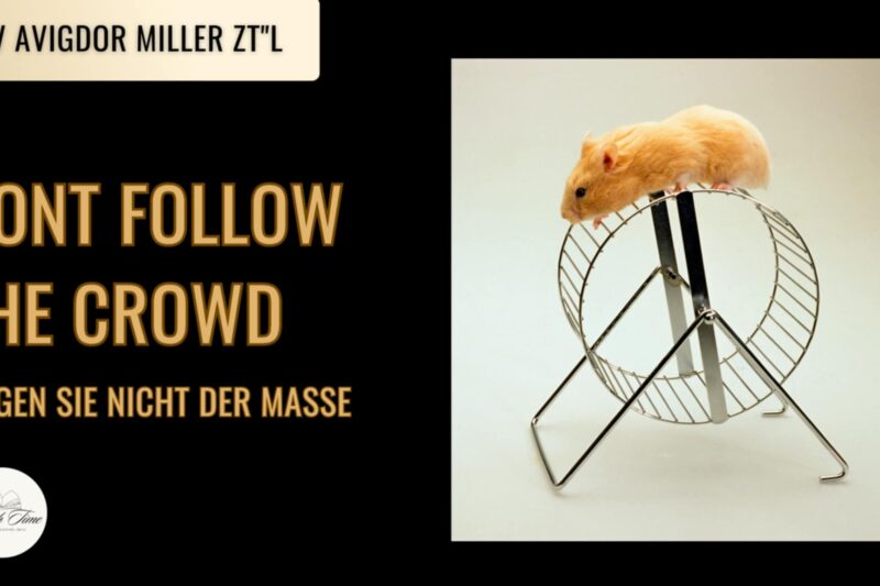 Folgen Sie nicht der Masse / Don’t follow the crowd