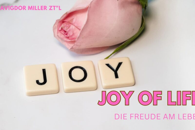 Die Freude am Leben willkommen heißen / Welcoming the joy of life