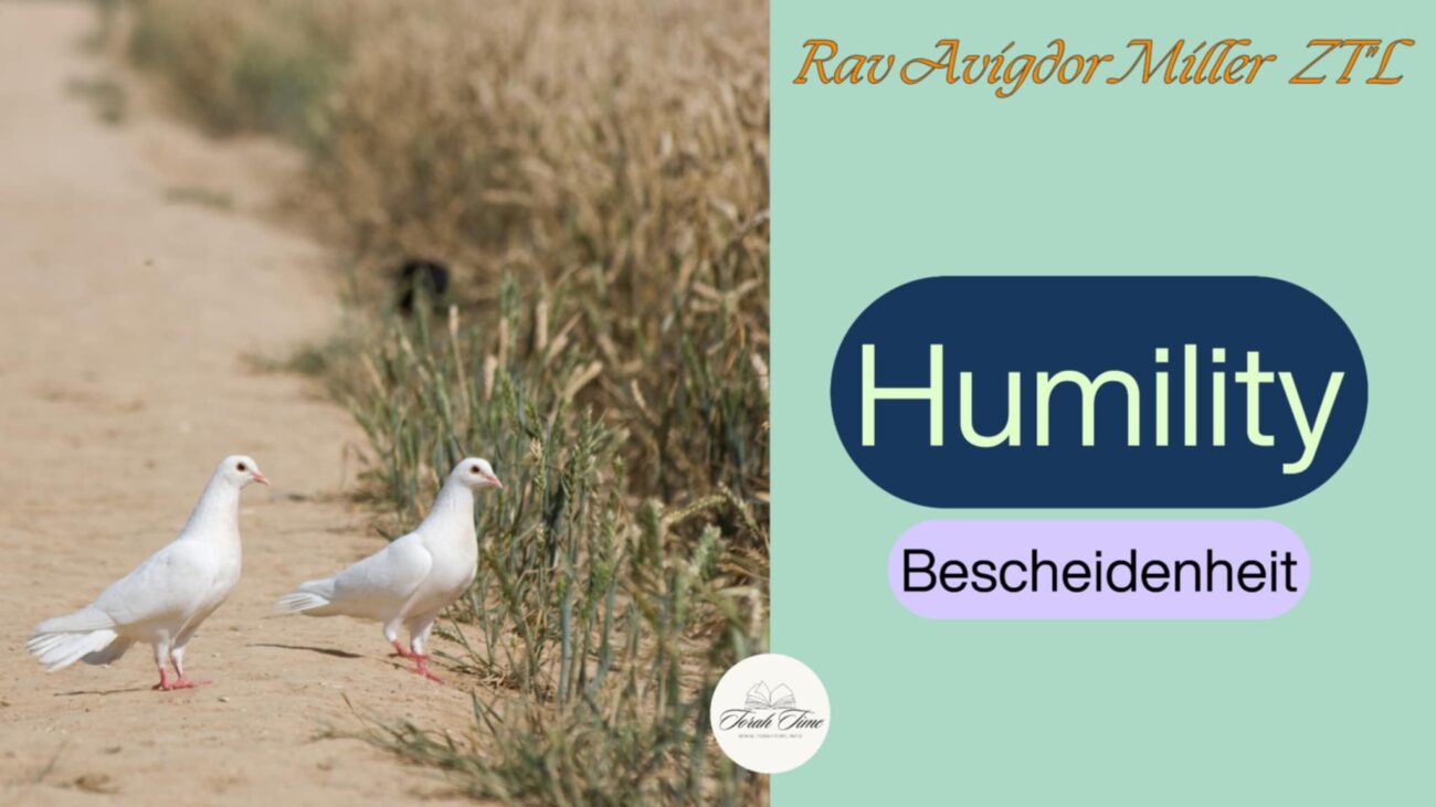 Bescheidenheit