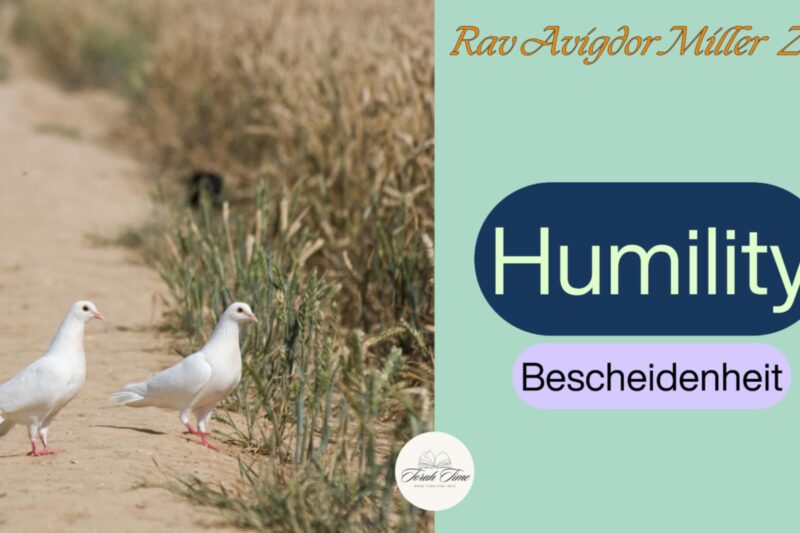 Bescheidenheit / Humility
