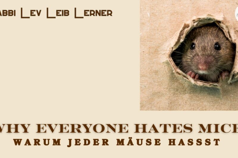 ​Warum jeder Mäuse hasst / Why everyone hates mice