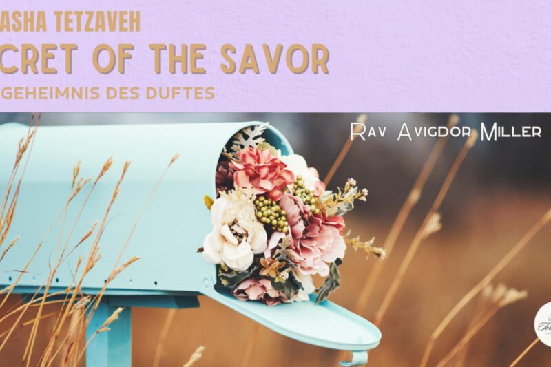 Das Geheimnis des Duftes / Secret of the Savor