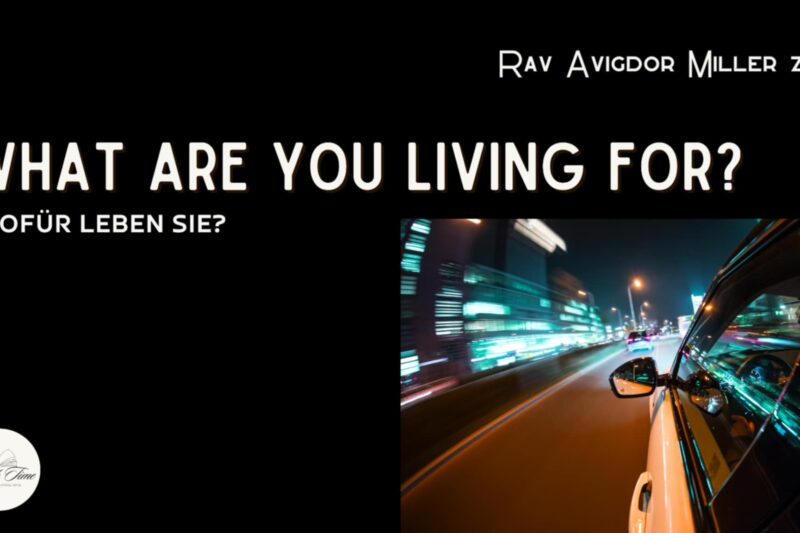 Wofür leben Sie? / What Are You Living For?