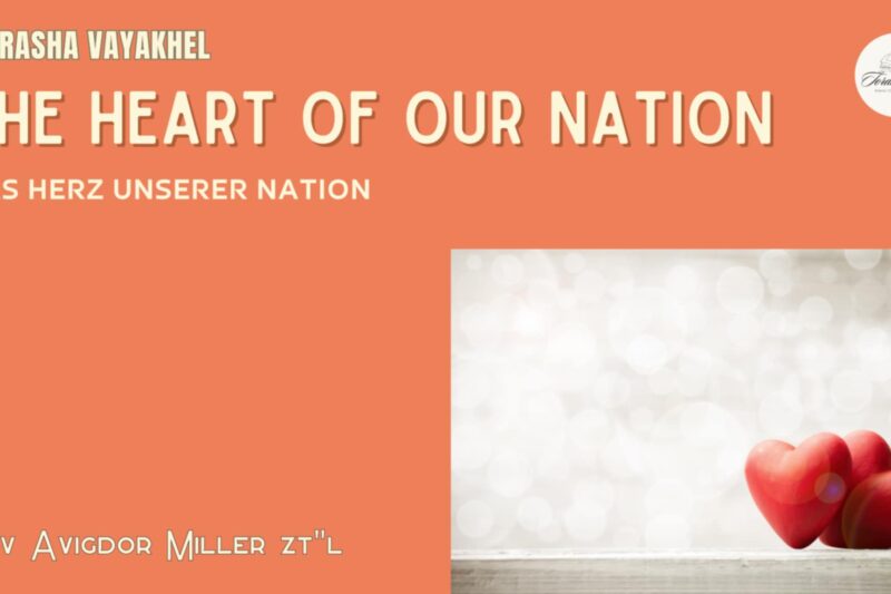In unserem Zentrum / At Our Core