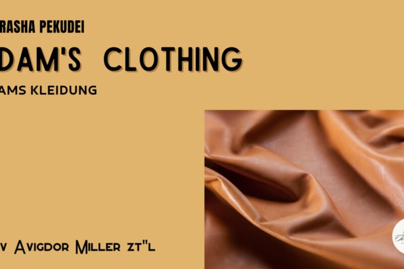 Adams Kleidung / Adam’s Clothing