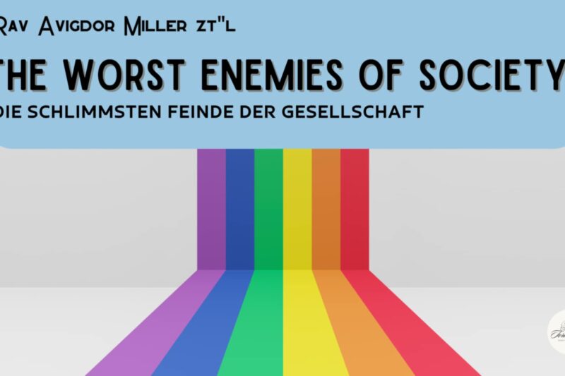 Schlimmste Feinde / Worst enemies