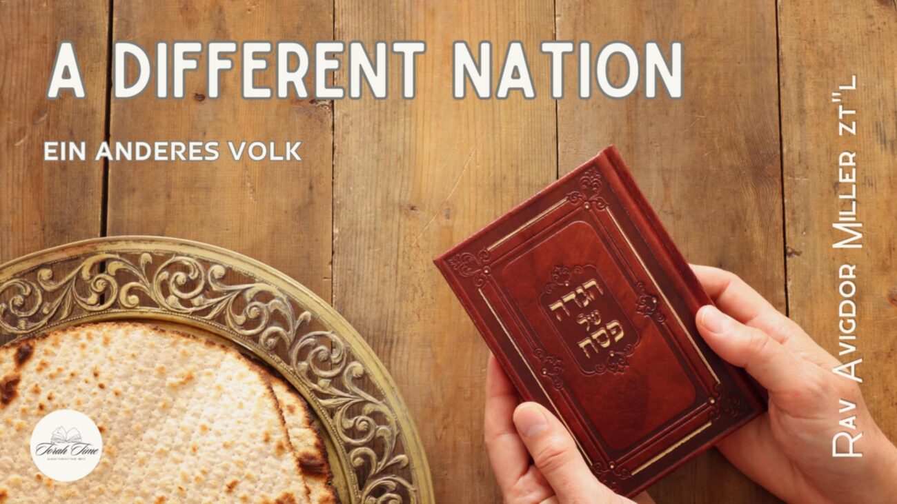 Titelbild unterschiedliche Nation