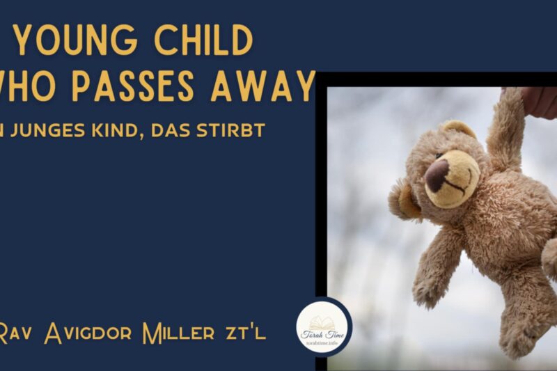 Ein junges Kind, das stirbt / A Young Child who Passes Away