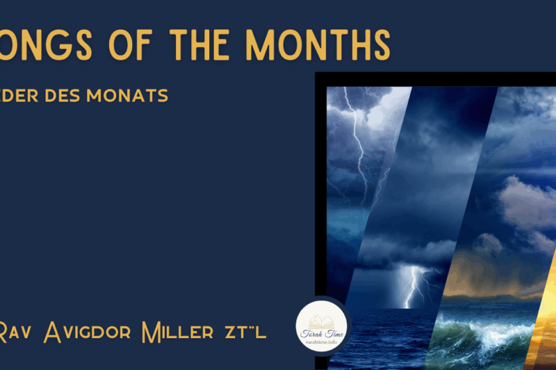 Lieder des Monats / Songs of the Months