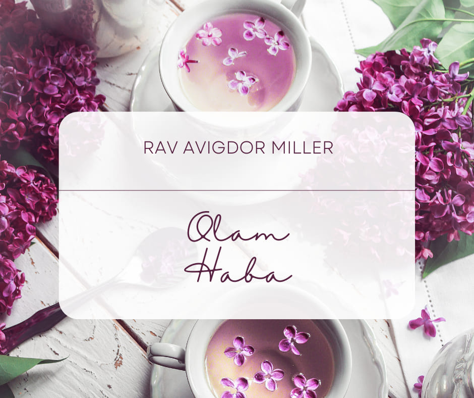 Z old 006