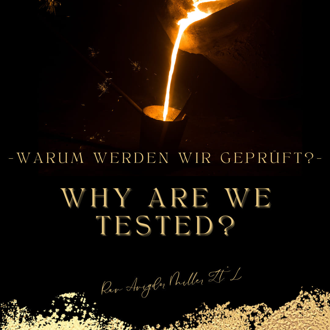 Wieso werden wir getestet