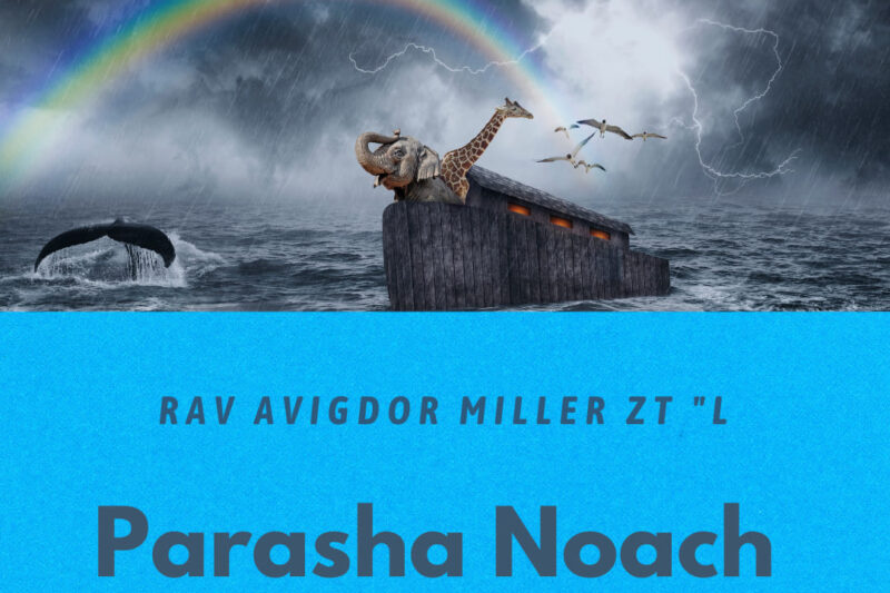 Rav Avigdor Miller: Parasha Noach