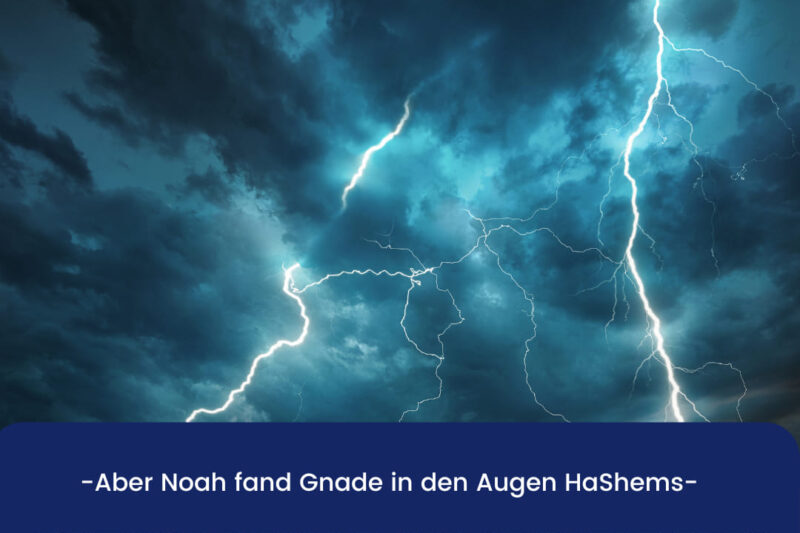 Parasha Noach – Sforno