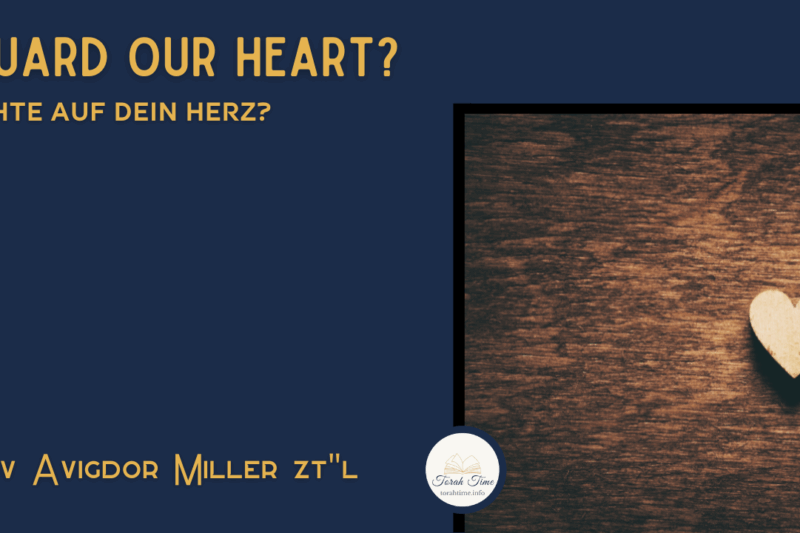 Achte auf dein Herz? / Guard our heart?
