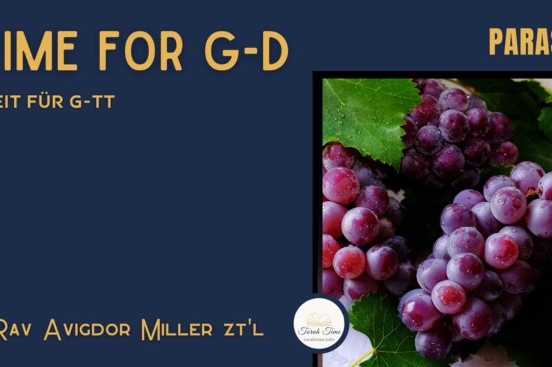 Zeit für G-tt / Time for G-d