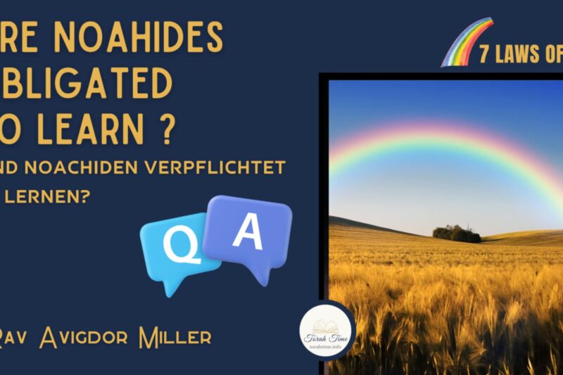 Sind Noachiden verpflichtet zu lernen?  / Are noahides obligated zu learn?