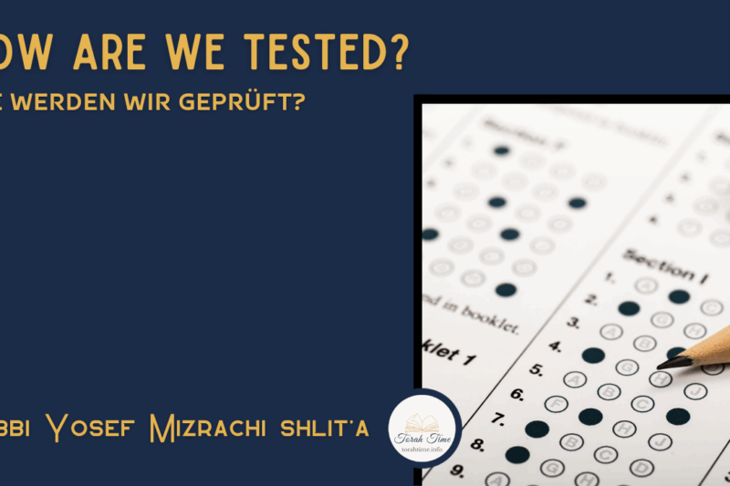 Wie werden wir geprüft? / How are we tested?
