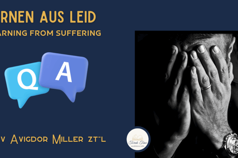 Lernen aus Leid / Learning from Suffering